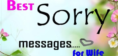 Heart touching best Sorry messages for wife